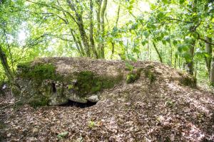 Ligne Maginot - VORDERSTERWALD 8 - (Observatoire indéterminé) - Côté Ouest