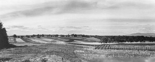 Ligne Maginot - 93 - RANSPACH NORD - (Casemate d'infanterie - Double) - Vue des champs de rails autour de la casemate
Vers le nord