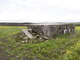 Ligne Maginot - DRIESCHBERG 1 - (Blockhaus pour arme infanterie) - 