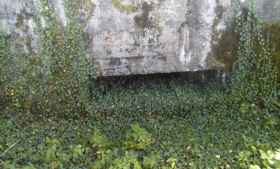 Ligne Maginot - STOCKEN 1 - (Blockhaus pour canon) - 