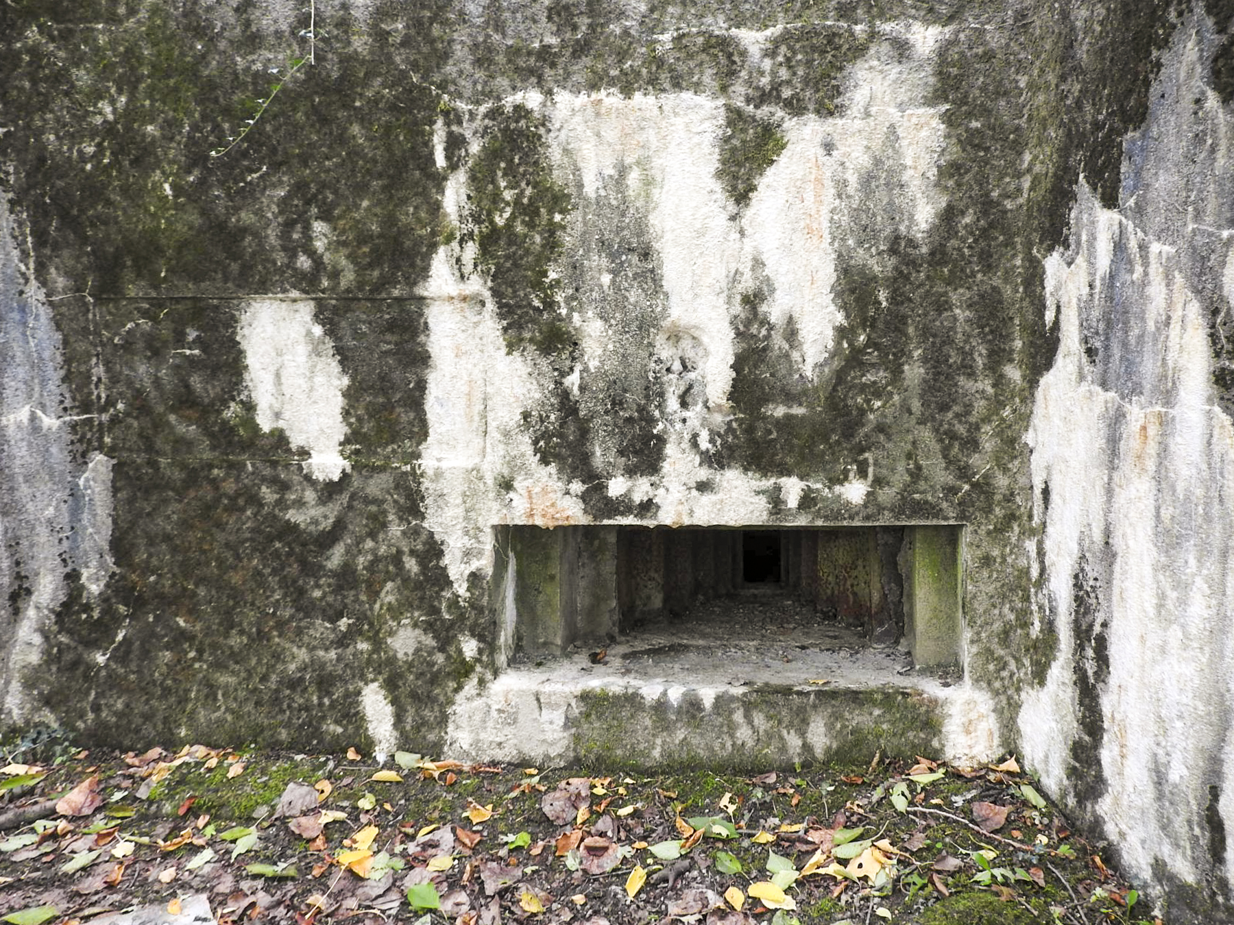 Ligne Maginot - WELSCHBRUCH CENTRE - (Blockhaus pour arme infanterie) - Le créneau pour la mitrailleuse