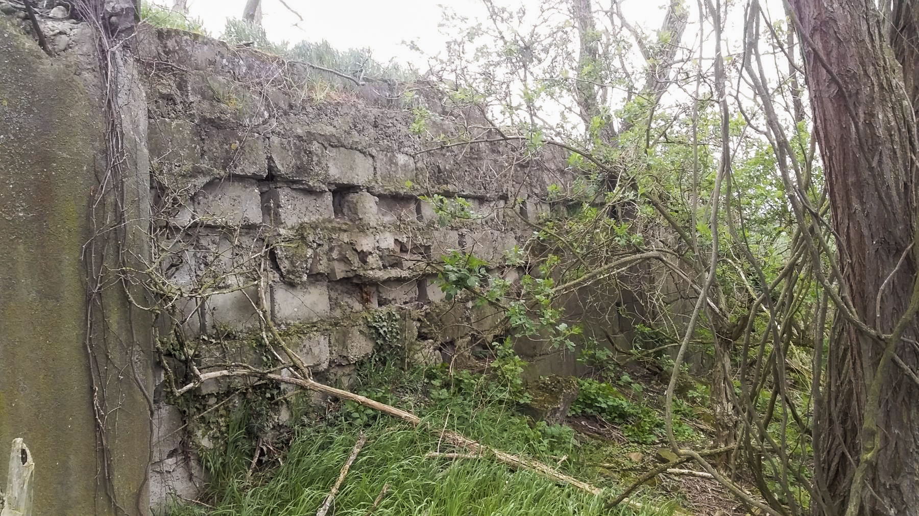 Ligne Maginot - 41/3 - BIESHEIM NORD - (Casemate d'infanterie - Double) - Mur coté droit