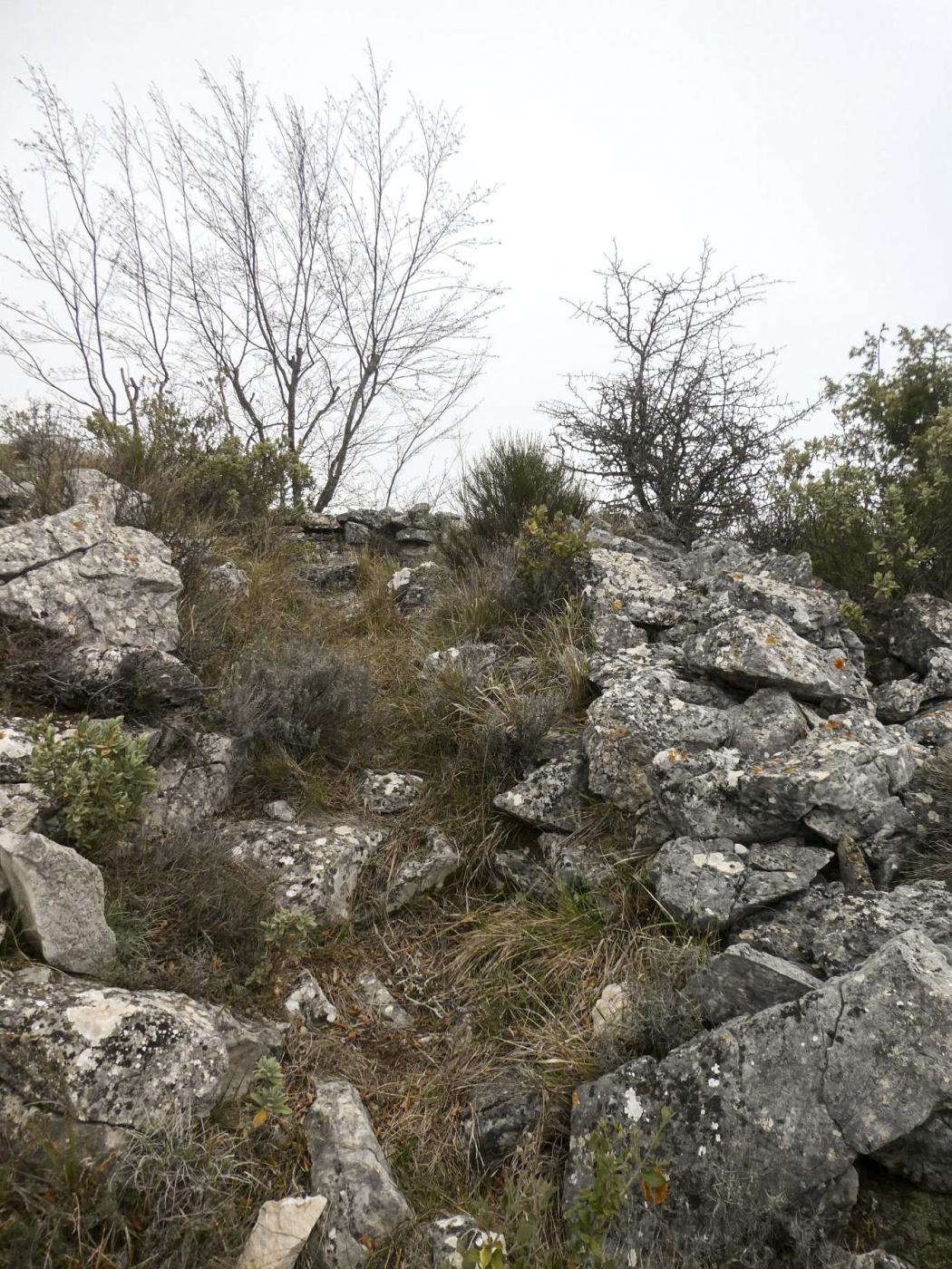 Ligne Maginot - CIME DES CABANELLES - (Observatoire d'artillerie) - L'accès de l'observatoire.