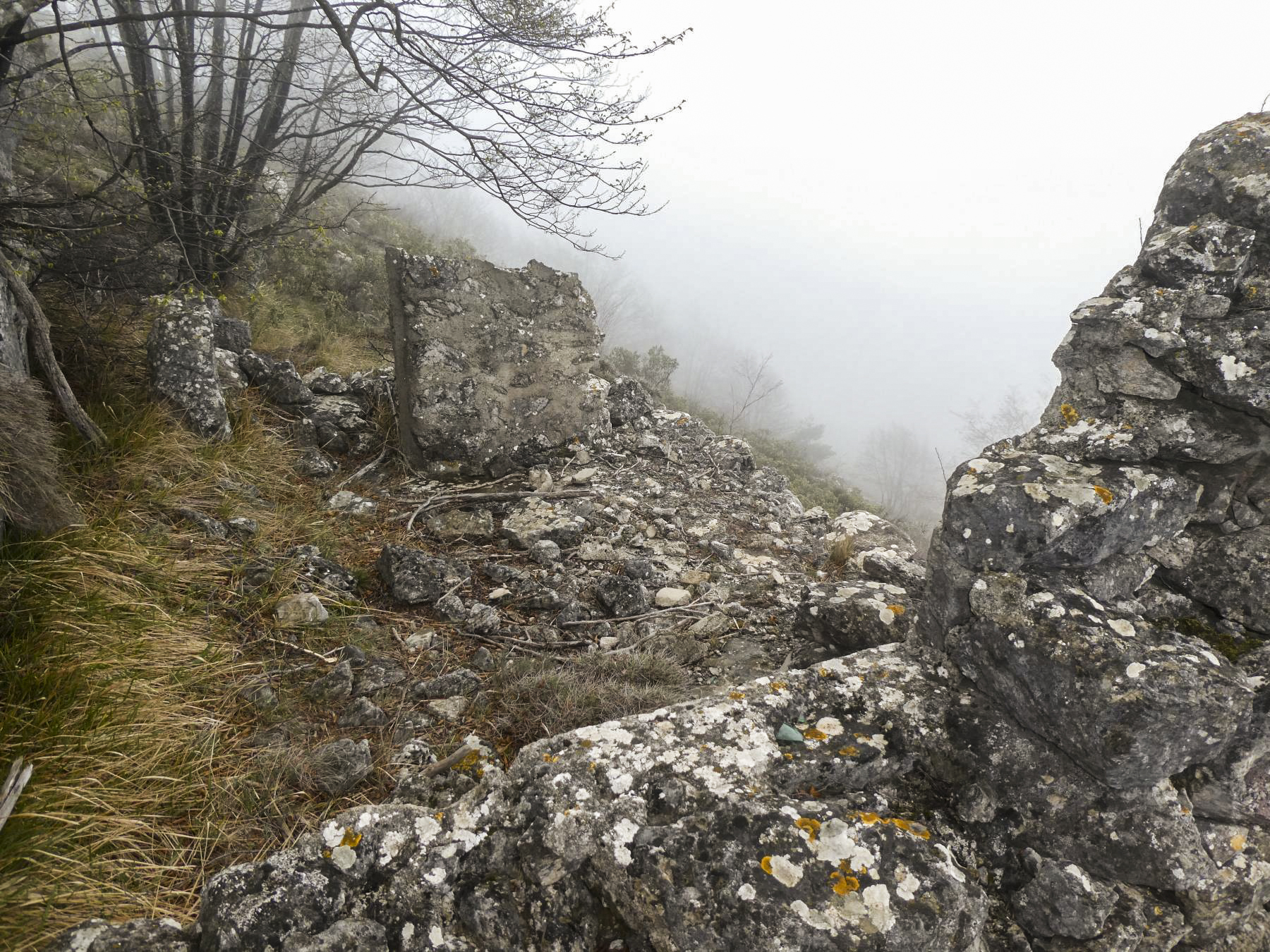 Ligne Maginot - CIME DES CABANELLES - (Observatoire d'artillerie) - 