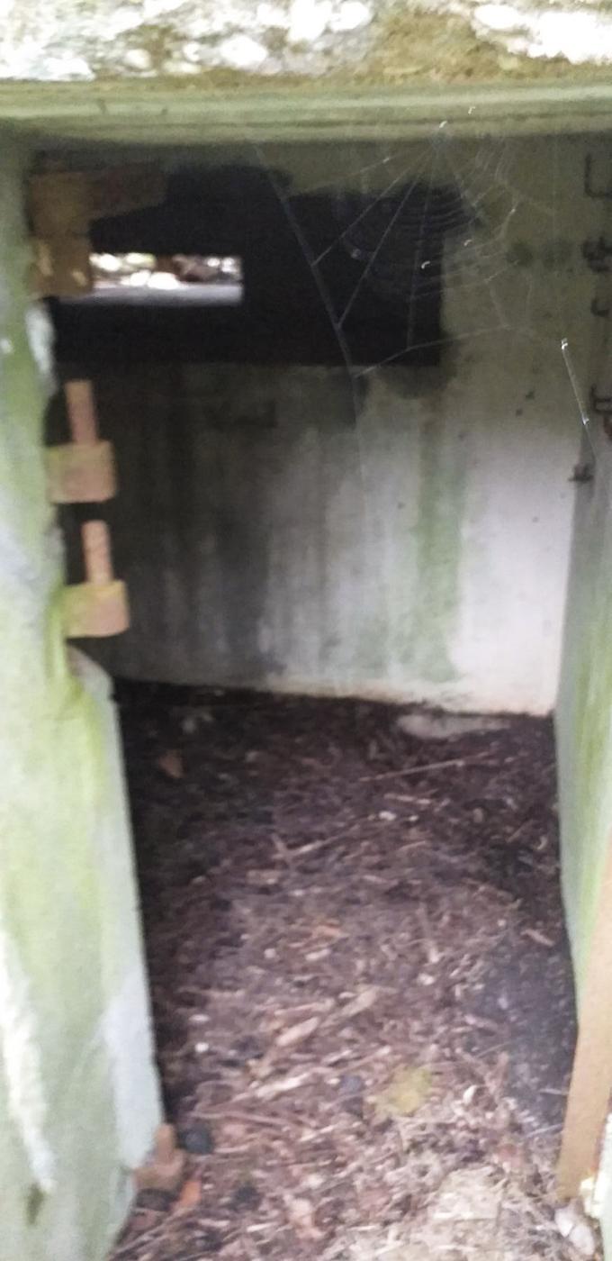 Ligne Maginot - GUEBENHOUSE 3 - (Blockhaus pour arme infanterie) - La porte d'entrée