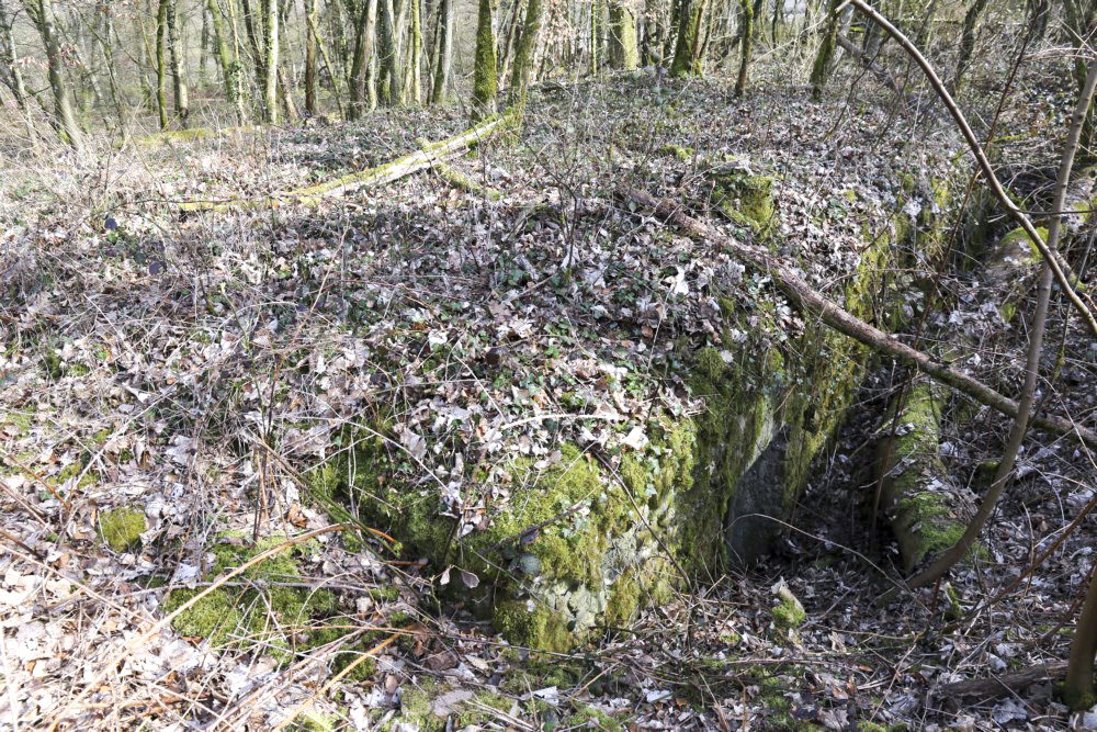 Ligne Maginot - TETING (6° CIE II/146° RIF) - (PC de Sous-Quartier) - 