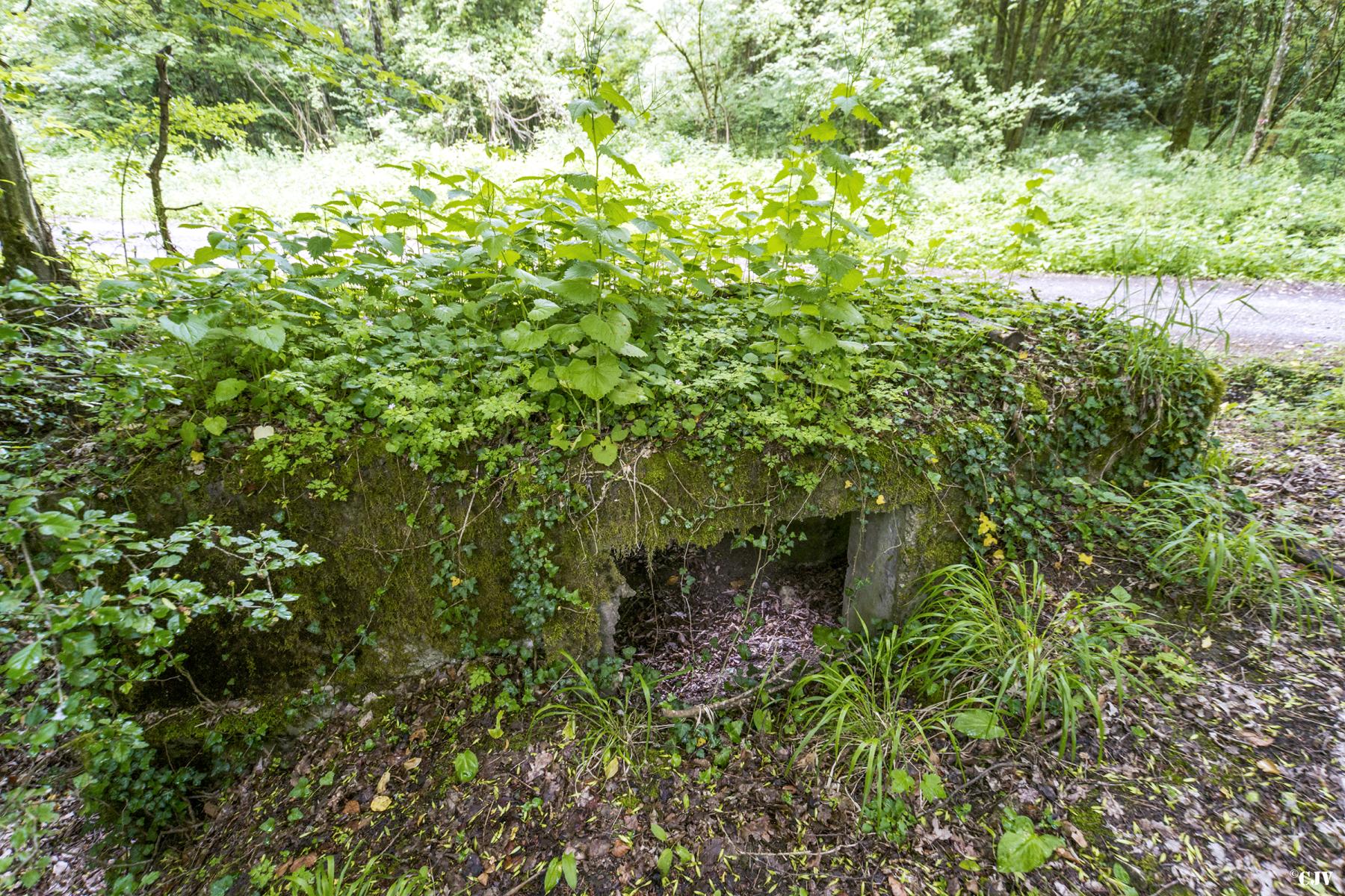 Ligne Maginot - ROUTE DE L'HIMERTEN NORD - (Blockhaus pour arme infanterie) - 