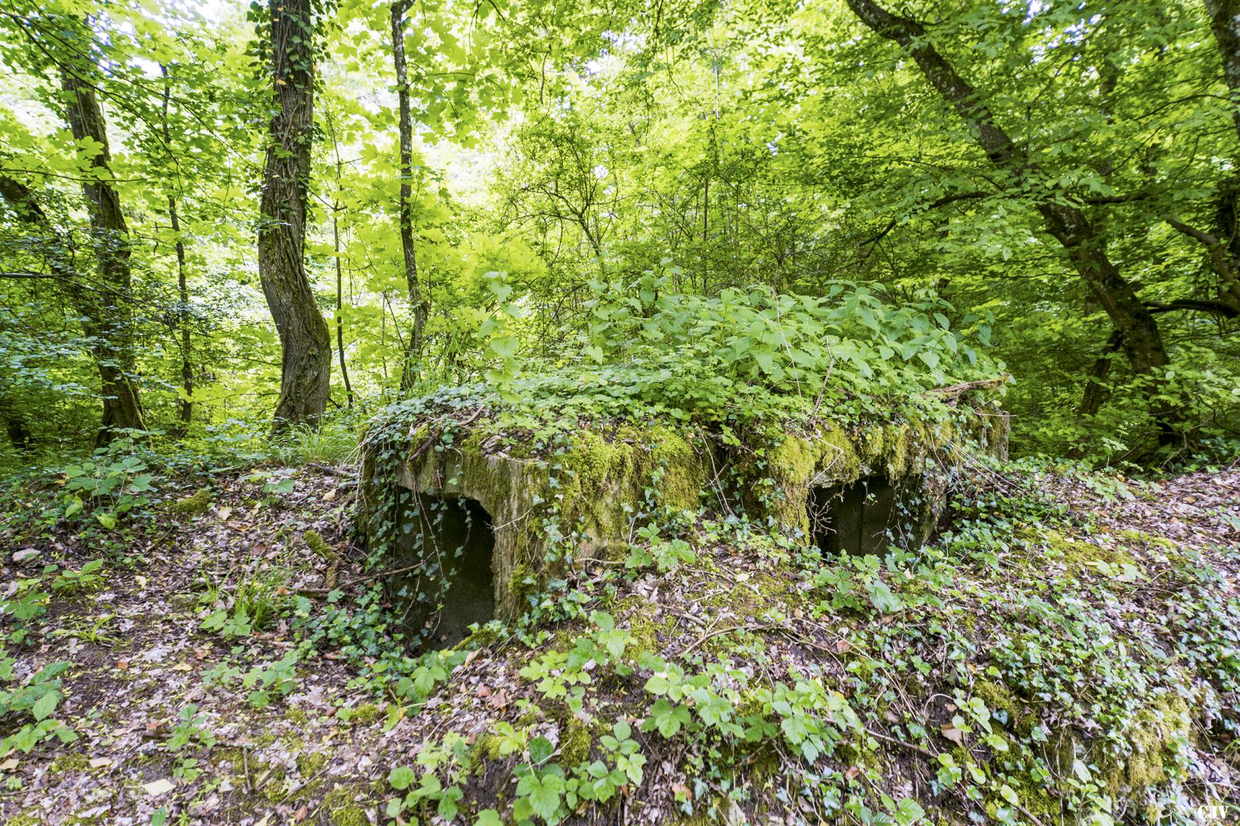 Ligne Maginot - ROUTE DE L'HIMERTEN NORD - (Blockhaus pour arme infanterie) - 