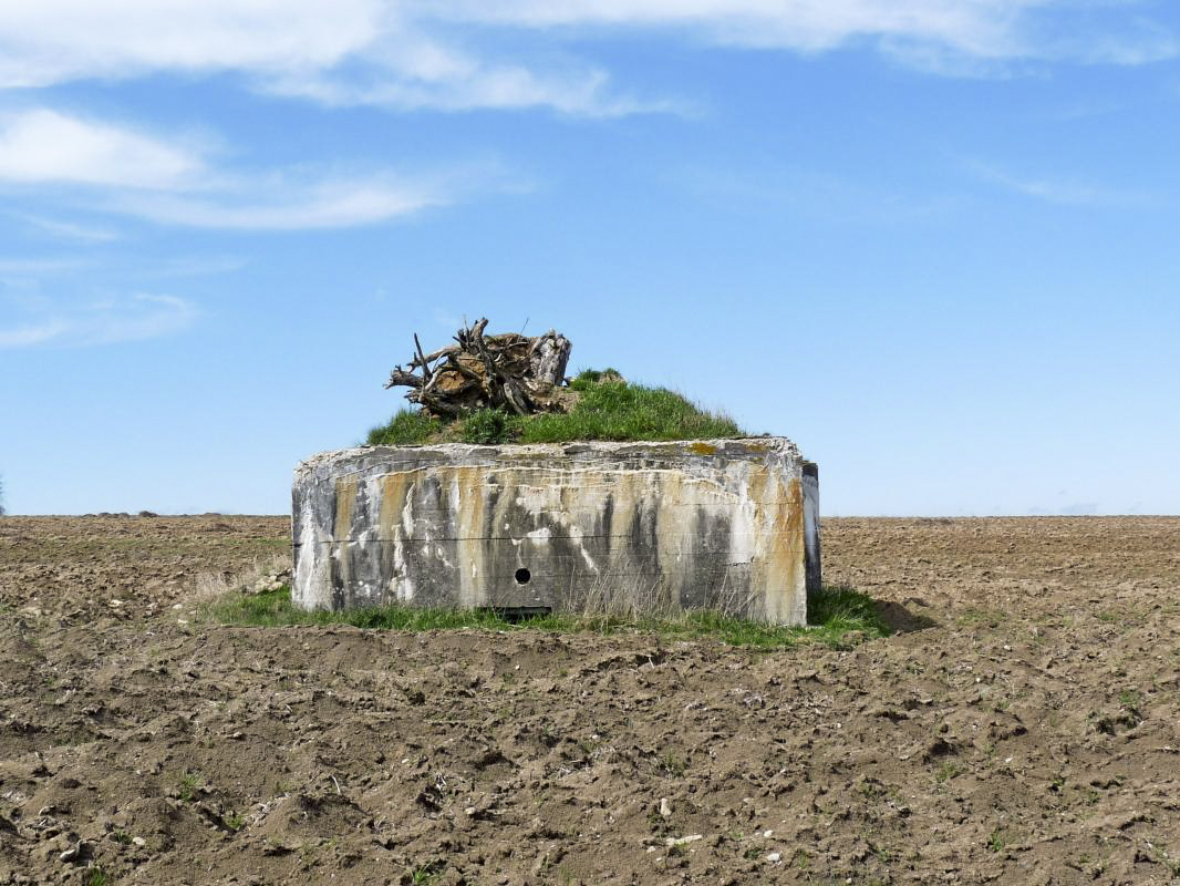 Ligne Maginot - TATTENHOLZ 3 - (Blockhaus pour arme infanterie) -  