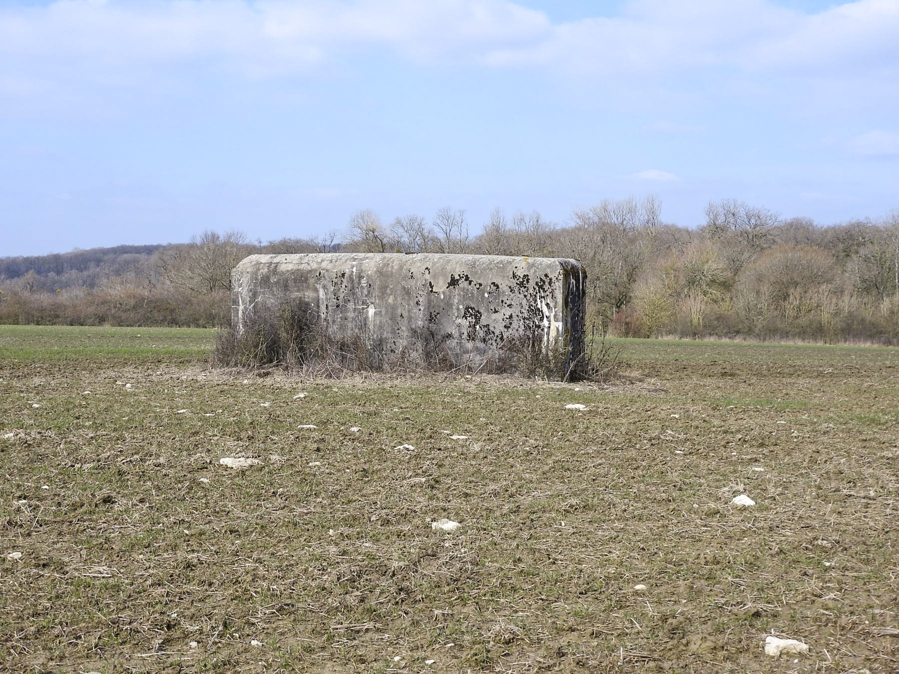 Ligne Maginot - WAELDSCHEN 1 - (Blockhaus pour arme infanterie) - 