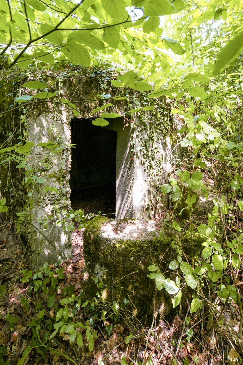 Ligne Maginot - BUCHENHUEBEL 2 - (Blockhaus pour arme infanterie) -  L'entrée                   