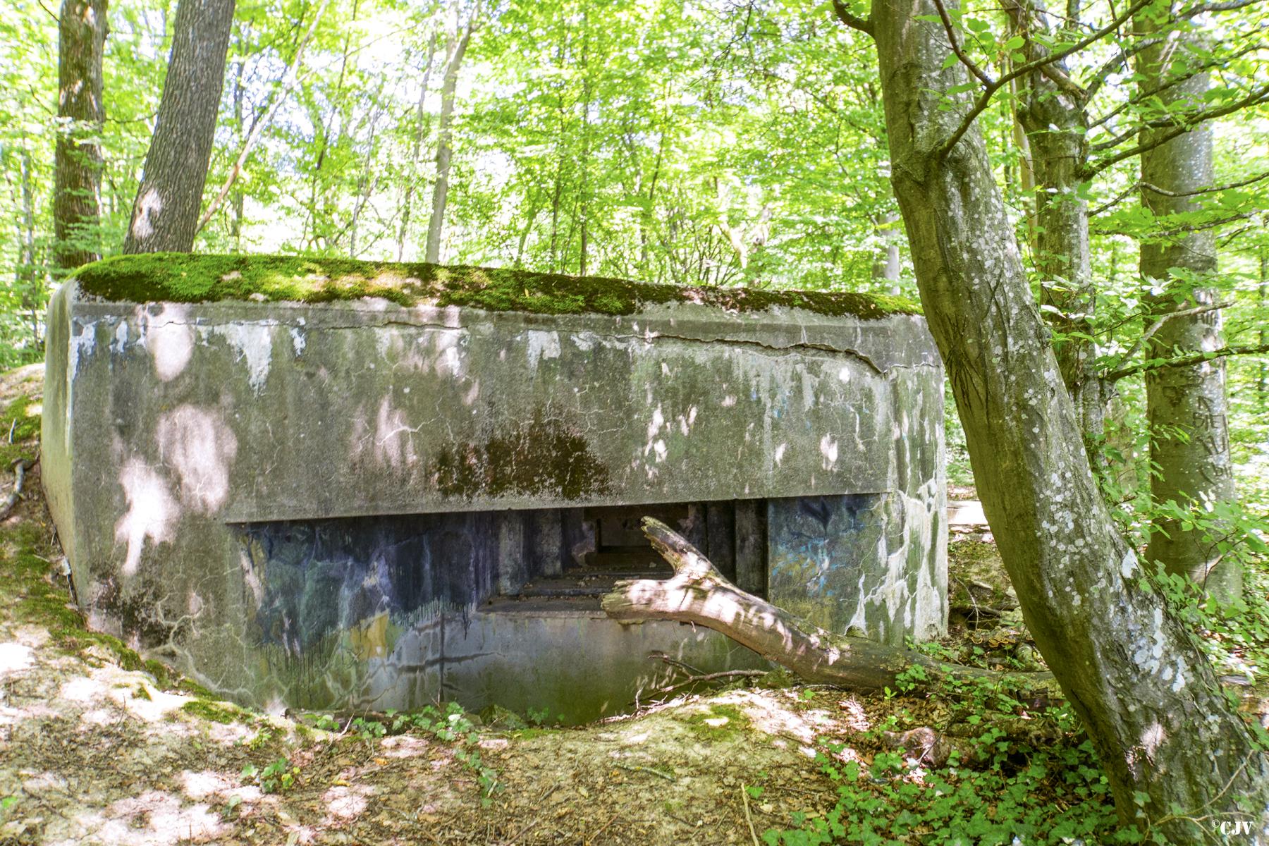 Ligne Maginot - LANING 1 - (Blockhaus pour arme infanterie) - 