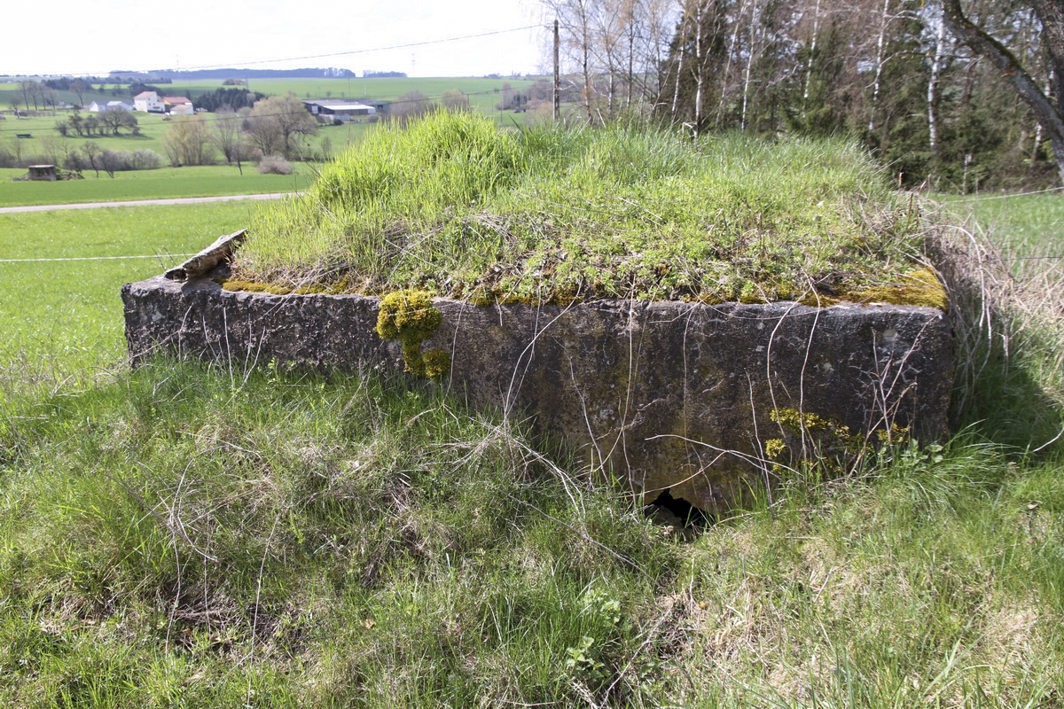 Ligne Maginot - LE 75 1 - (Blockhaus pour arme infanterie) - 