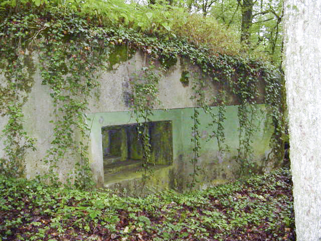 Ligne Maginot - M67B - BOIS DE BRILL 2 - (Blockhaus pour arme infanterie) - L'un des créneau 