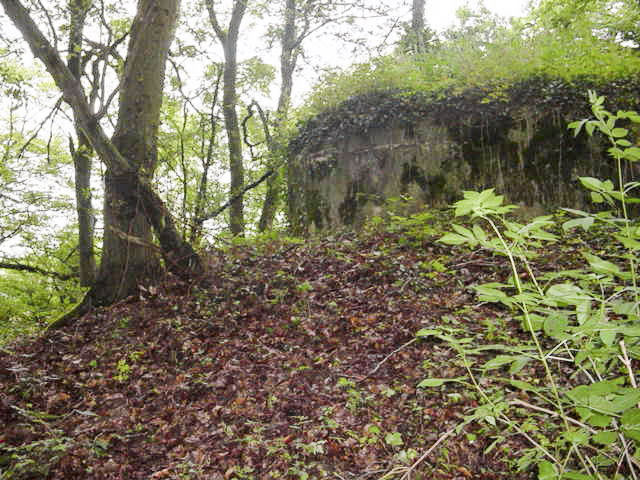 Ligne Maginot - M67B - BOIS DE BRILL 2 - (Blockhaus pour arme infanterie) - On aperçoit la lisière du bois de Brill