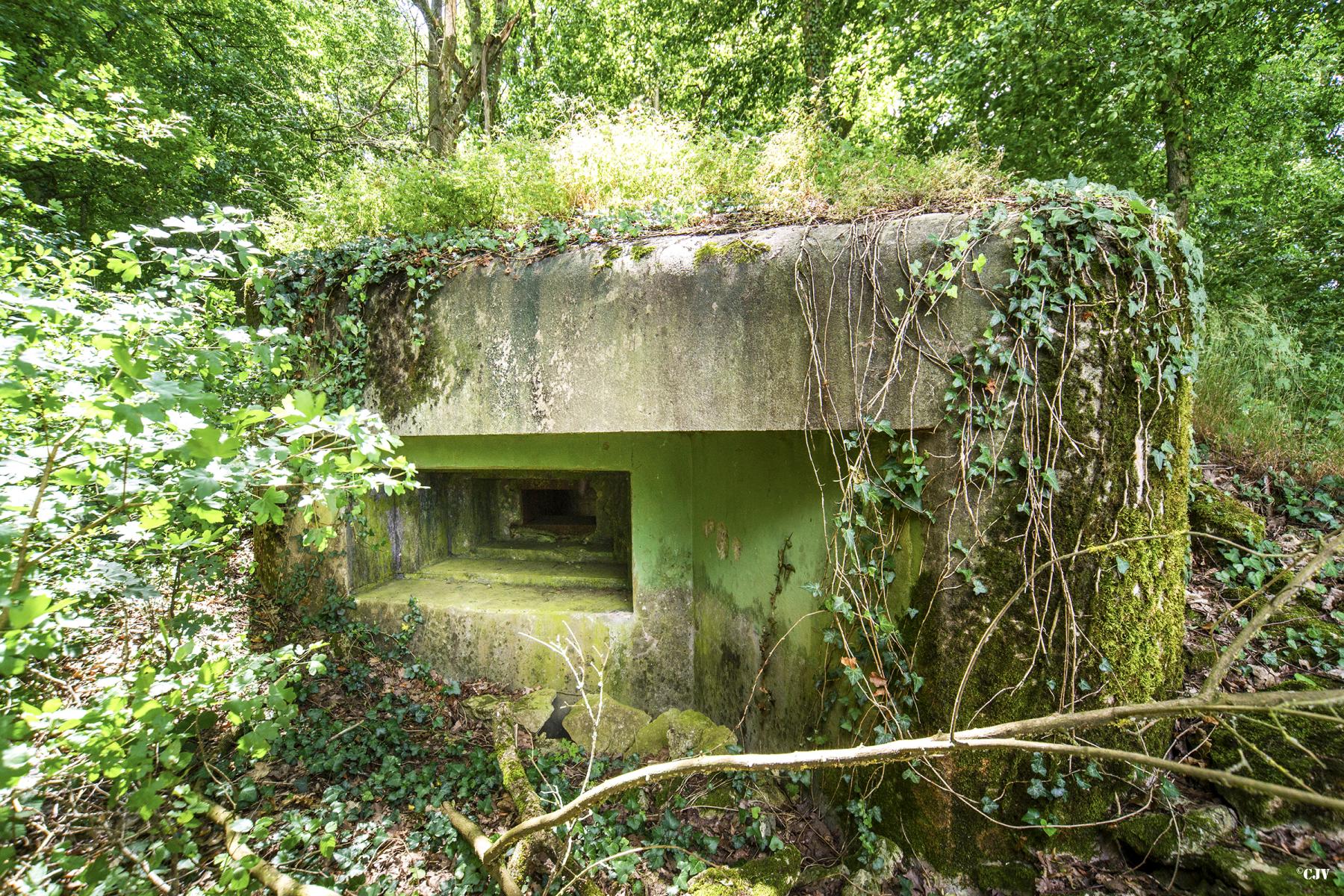 Ligne Maginot - M67B - BOIS DE BRILL 2 - (Blockhaus pour arme infanterie) - 