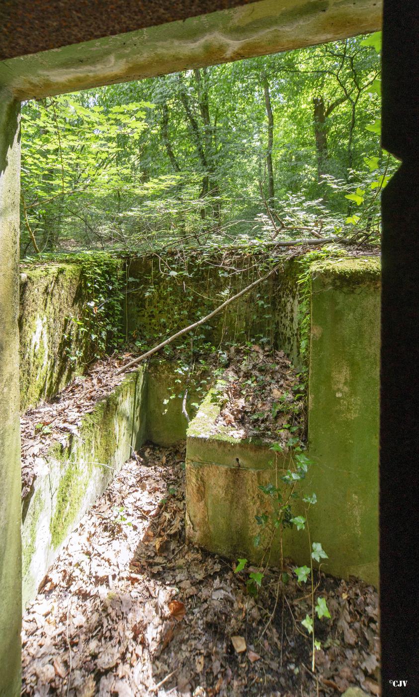 Ligne Maginot - M67B - BOIS DE BRILL 2 - (Blockhaus pour arme infanterie) - Le parapet