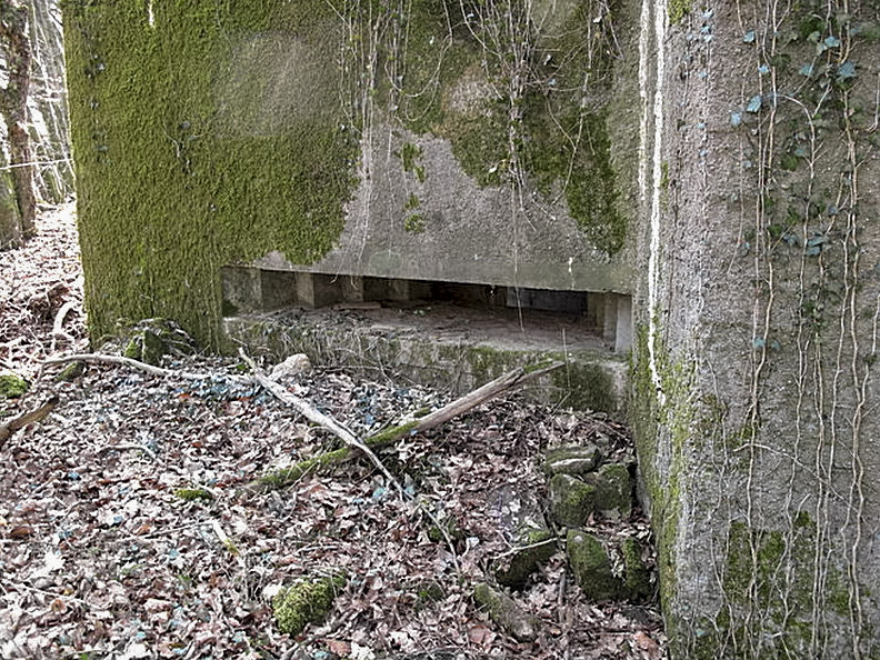 Ligne Maginot - NONNENWALD 15 - (Blockhaus pour canon) - 