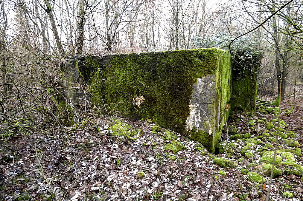 Ligne Maginot - NONNENWALD 15 - (Blockhaus pour canon) - 