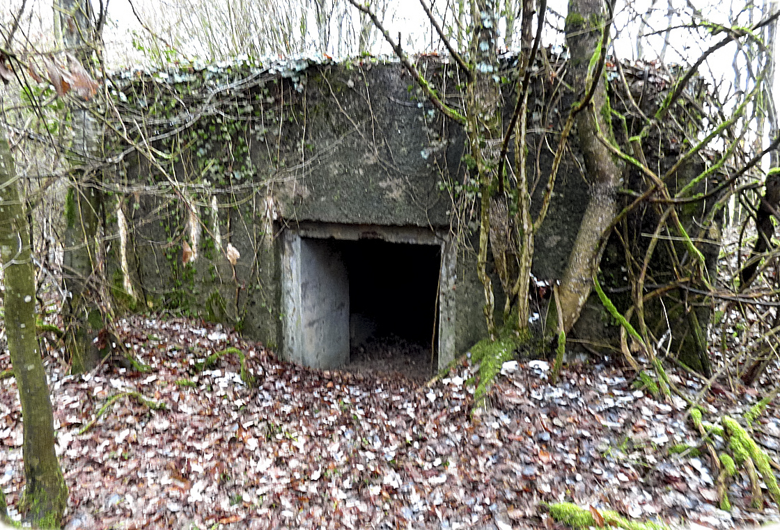 Ligne Maginot - NONNENWALD 15 - (Blockhaus pour canon) - L'entrée du matériel
