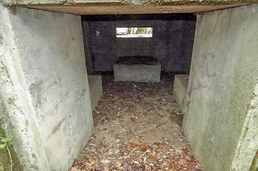 Ligne Maginot - NONNENWALD 15 - (Blockhaus pour canon) - 