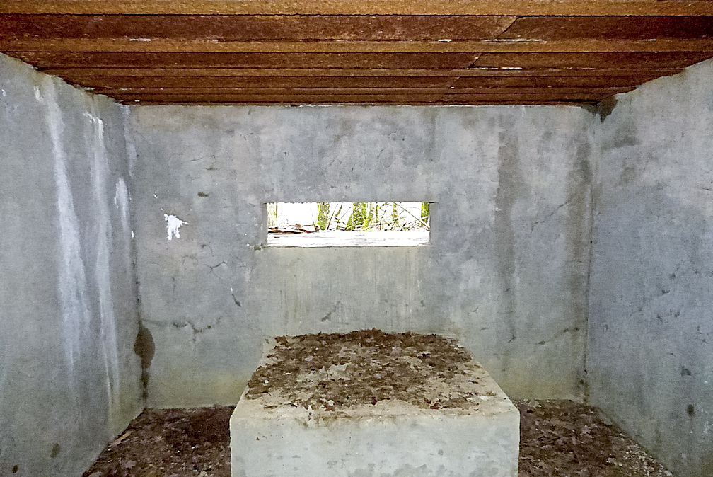 Ligne Maginot - NONNENWALD 15 - (Blockhaus pour canon) - 