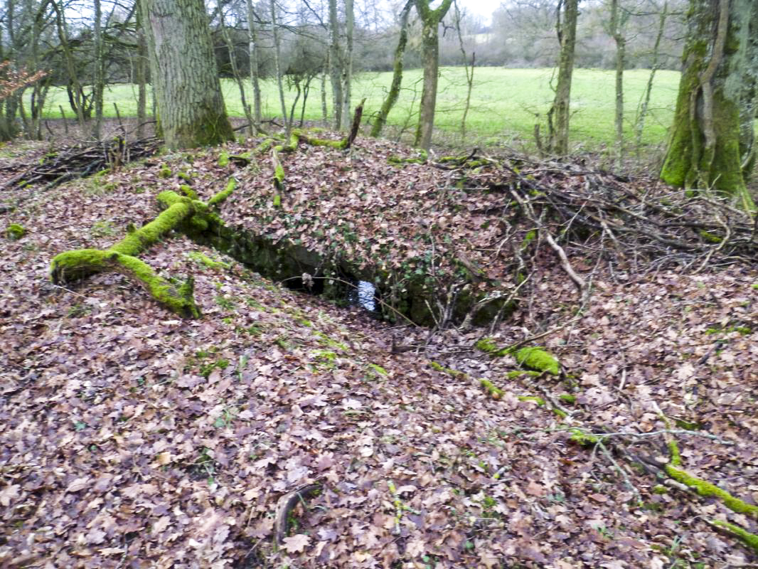 Ligne Maginot - NONNENWALD 4 - (Blockhaus pour arme infanterie) - Le toit est partiellement effondré et l'intérieur est inondé