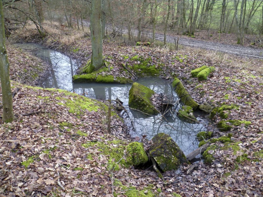Ligne Maginot - NONNENWALD 13 - (Blockhaus de type indéterminé) - On peut voir le reste de la tranchée ainsi que le toit effondré