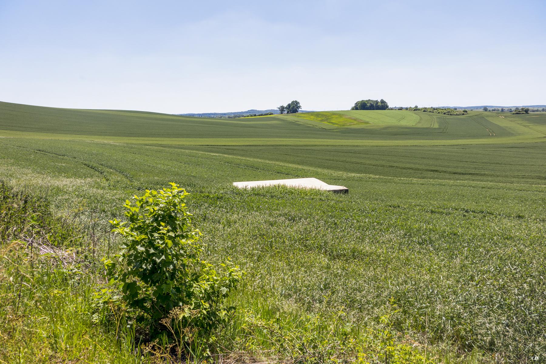 Ligne Maginot - PLATTENBUSCH - (Blockhaus pour arme infanterie) - 