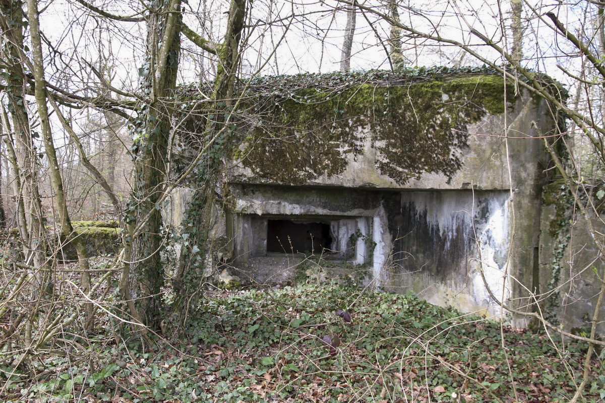 Ligne Maginot - RESERVOIR DE FREMESTROFF - (Blockhaus pour arme infanterie) - 