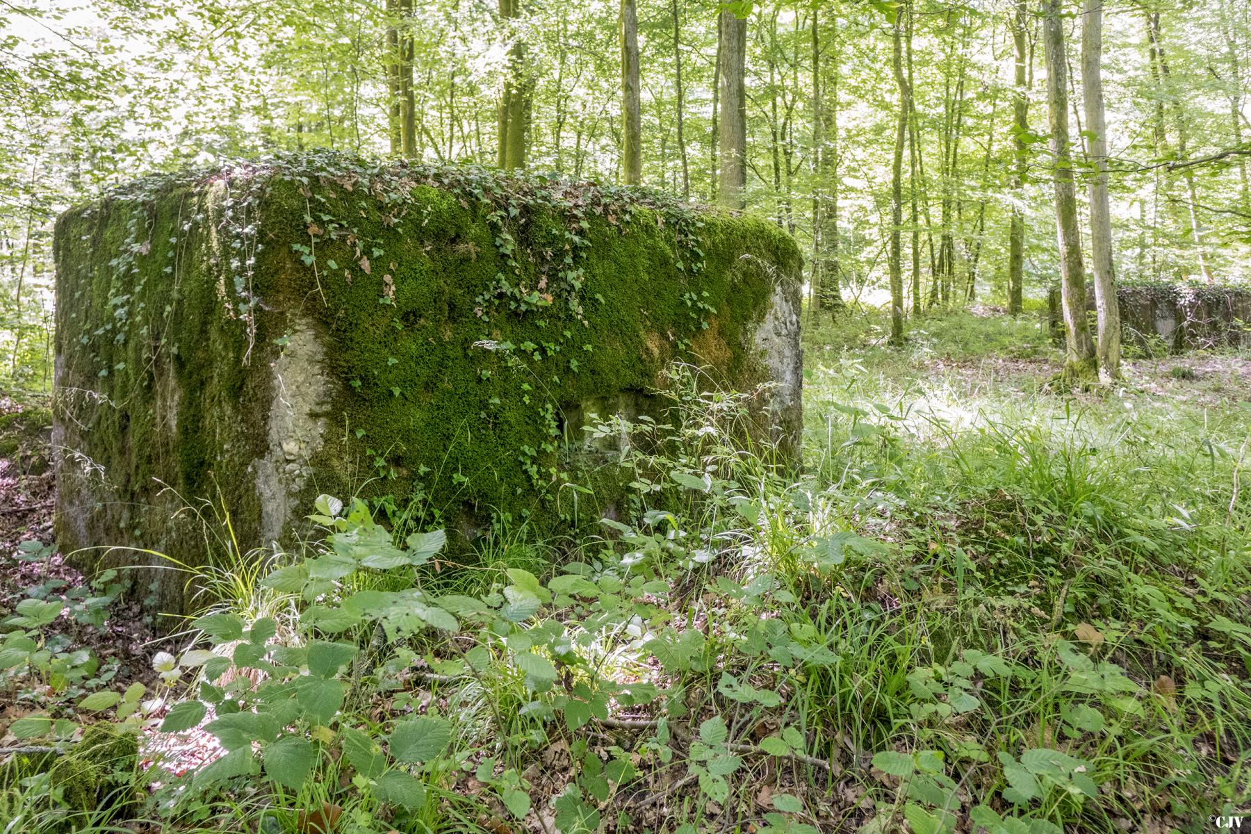 Ligne Maginot - UBERNIED 1 - (Blockhaus pour arme infanterie) - Les blockhaus Ubernied 1 et 2