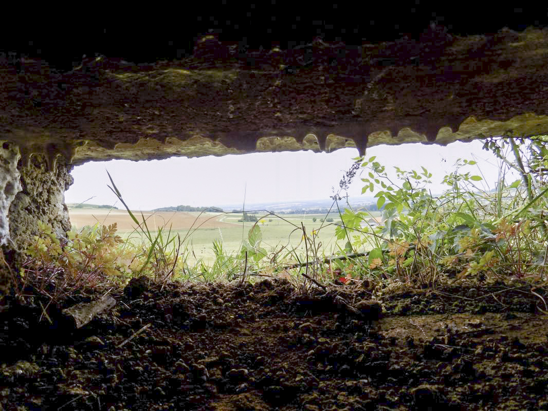 Ligne Maginot - 7C - AUTRECOURT NORD - (Blockhaus pour arme infanterie) - Vue créneau gauche FM/Obs, vers le nord-est