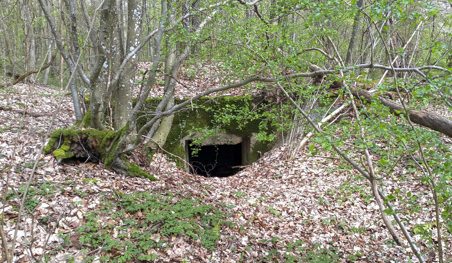 Ligne Maginot - CB224-A - HERTSCHENBERG 1 - (Blockhaus pour canon) - L'entrée du matériel