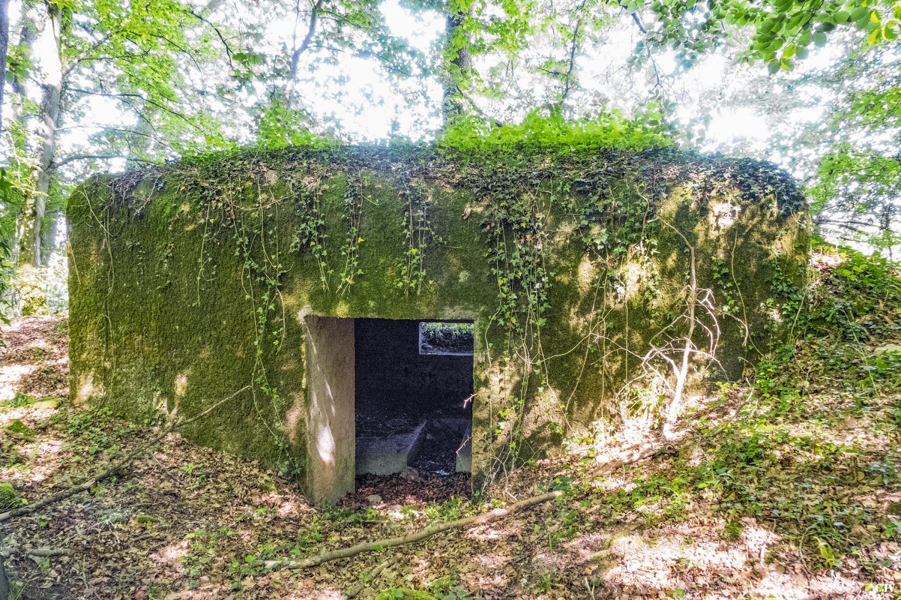 Ligne Maginot - UBERNIED 8 - (Blockhaus pour canon) - L'entrée du matériel