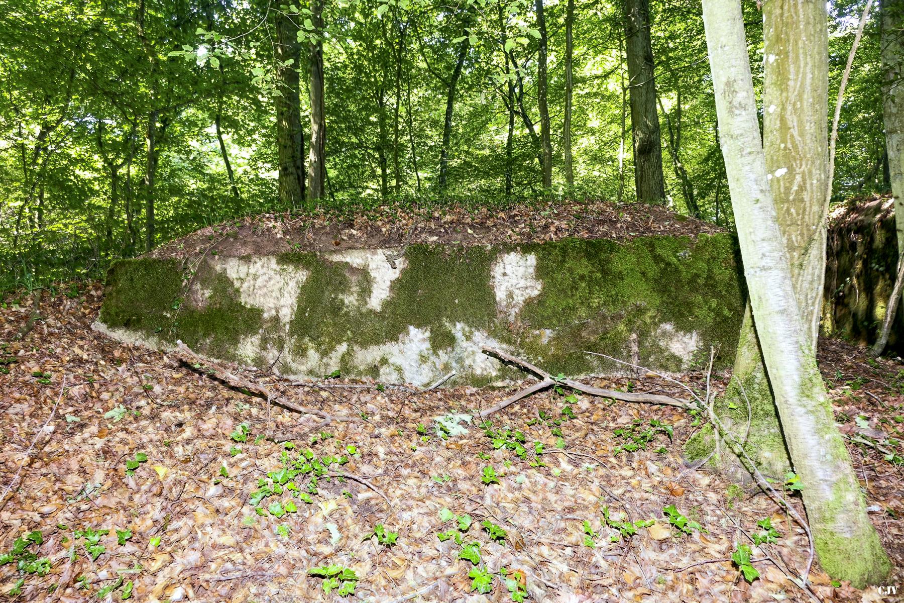 Ligne Maginot - UBERNIED 10 - (Blockhaus pour canon) - Le créneau n'est plus visible