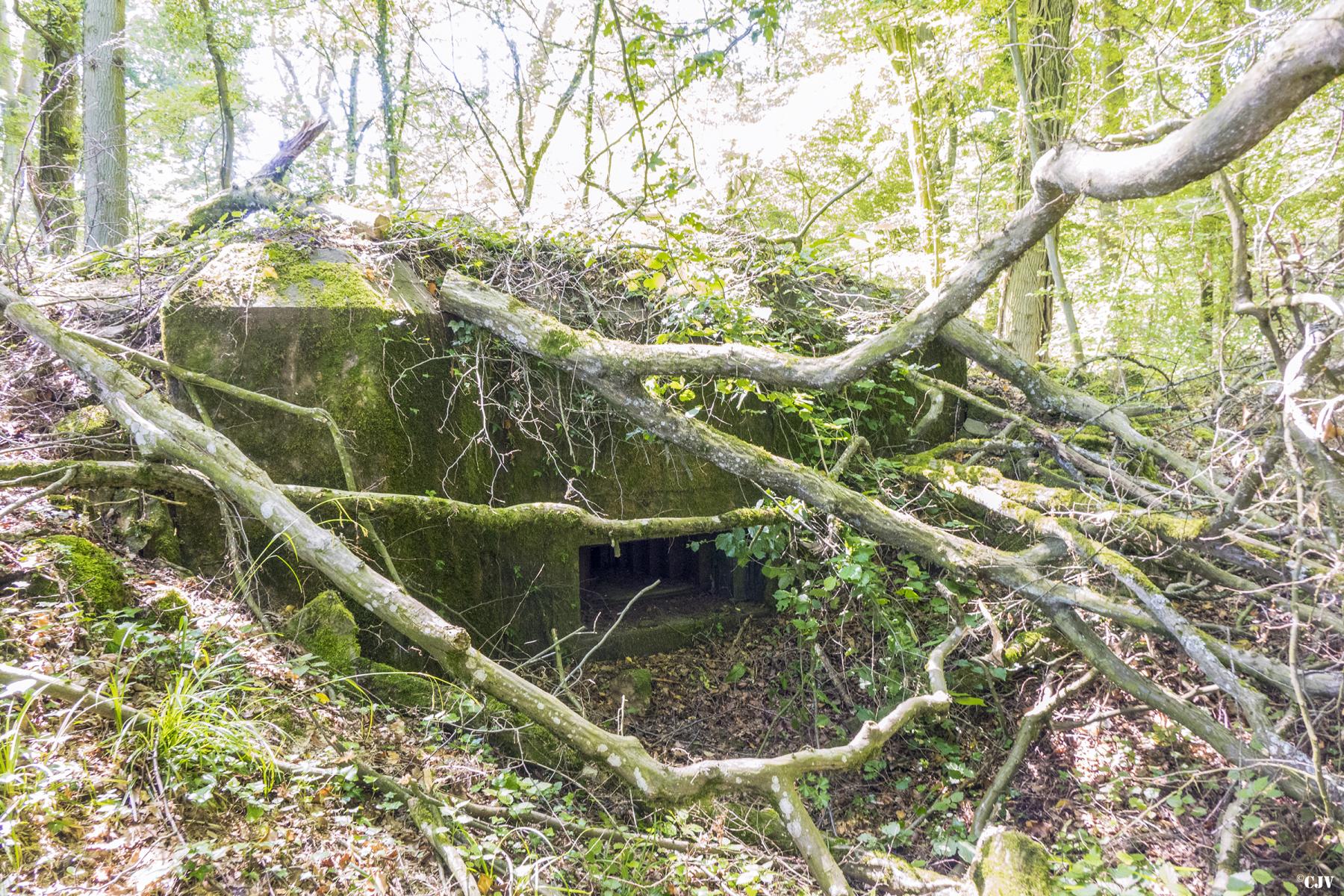 Ligne Maginot - UBERNIED 12 - (Blockhaus pour arme infanterie) - 