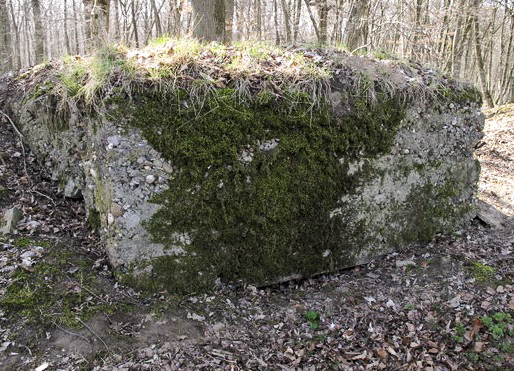 Ligne Maginot - VORDERSTERWALD 8 - (Observatoire indéterminé) - 