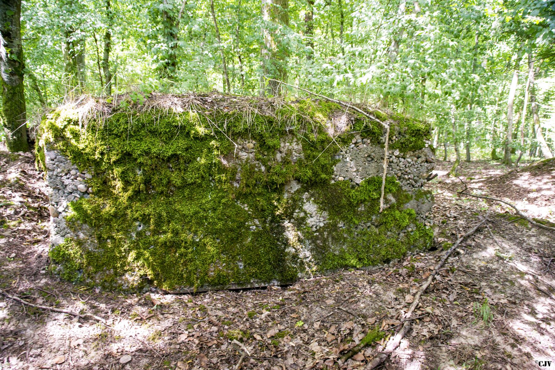 Ligne Maginot - VORDERSTERWALD 8 - (Observatoire indéterminé) - 