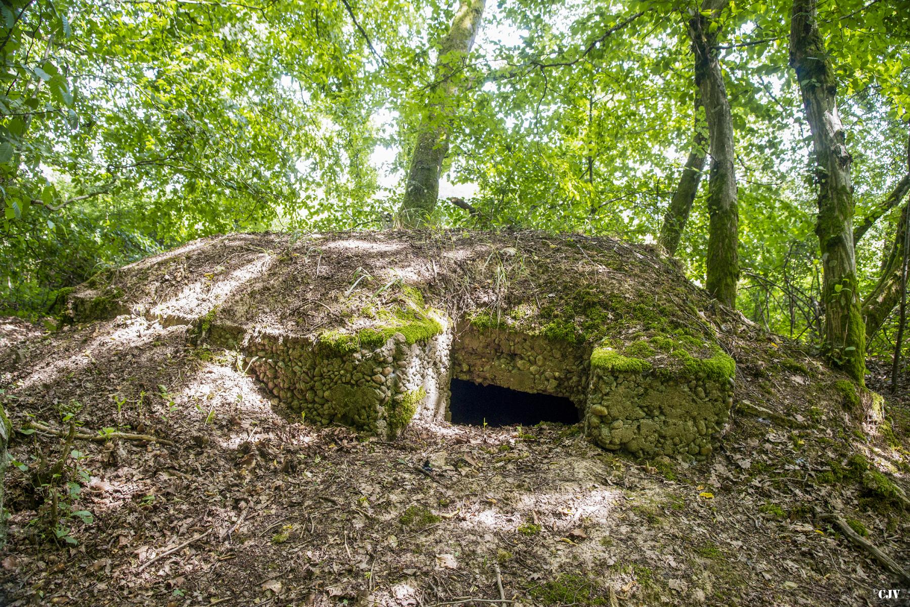 Ligne Maginot - VORDERSTERWALD 8 - (Observatoire indéterminé) - 