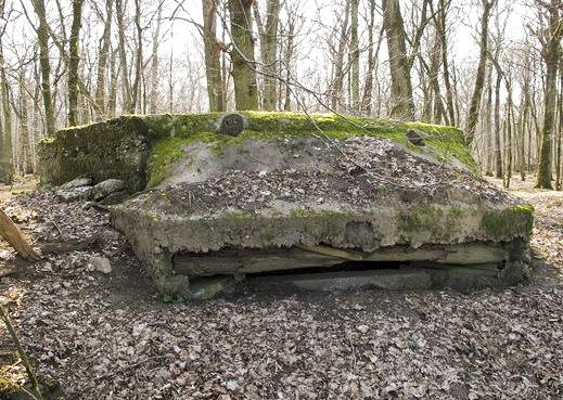 Ligne Maginot - VORDERSTERWALD 7 - (Observatoire indéterminé) - 