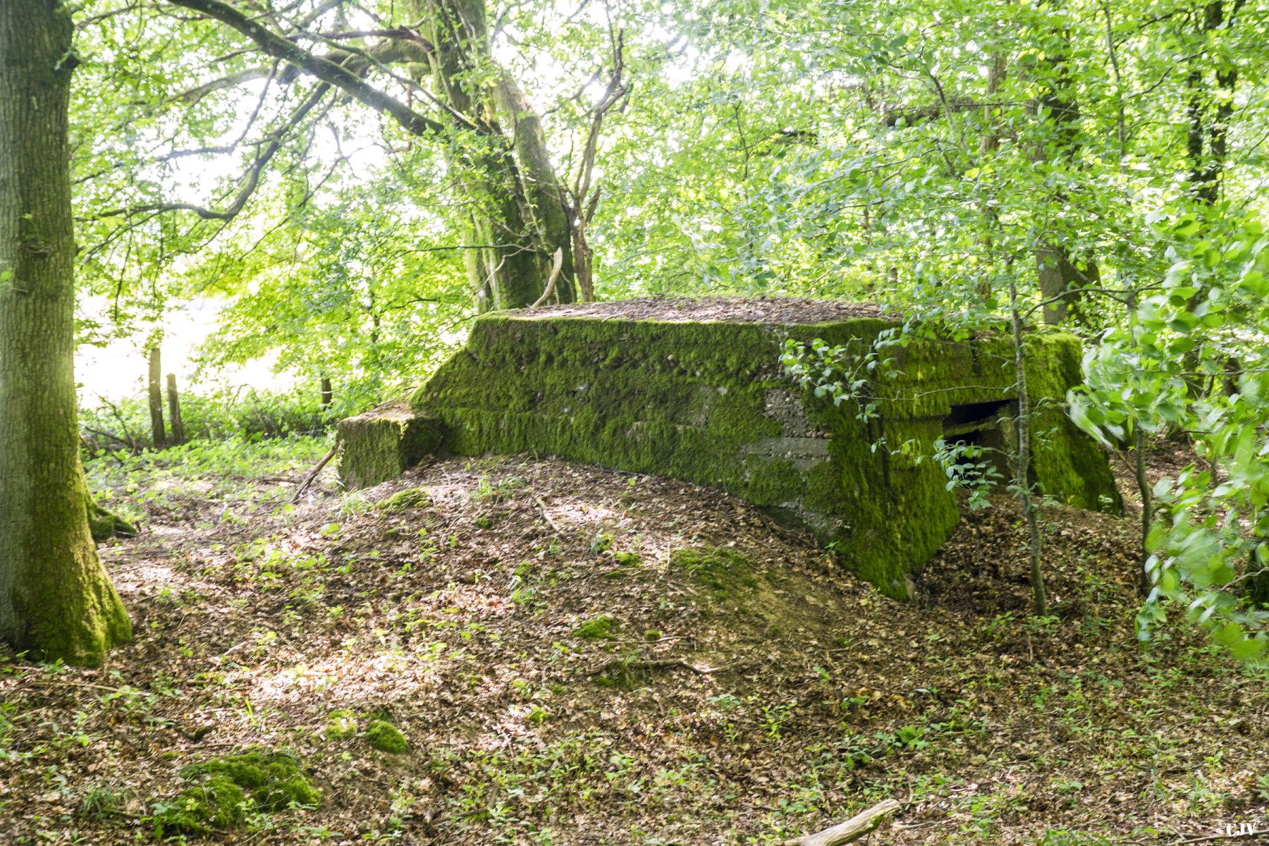 Ligne Maginot - VORDERSTERWALD 7 - (Observatoire indéterminé) - 