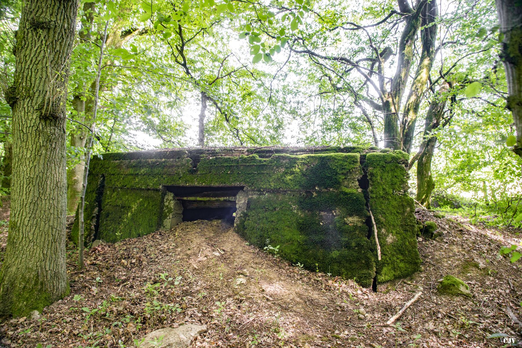 Ligne Maginot - VORDERSTERWALD 7 - (Observatoire indéterminé) - 