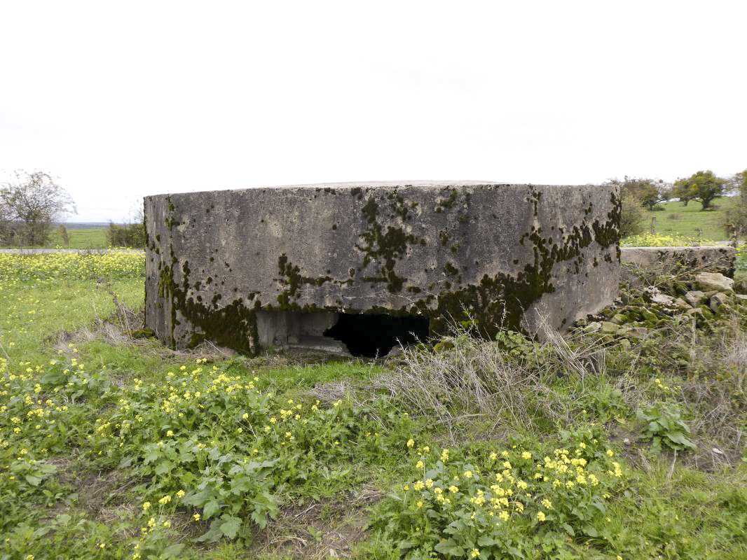 Ligne Maginot - DRIESCHBERG 1 - (Blockhaus pour arme infanterie) - 