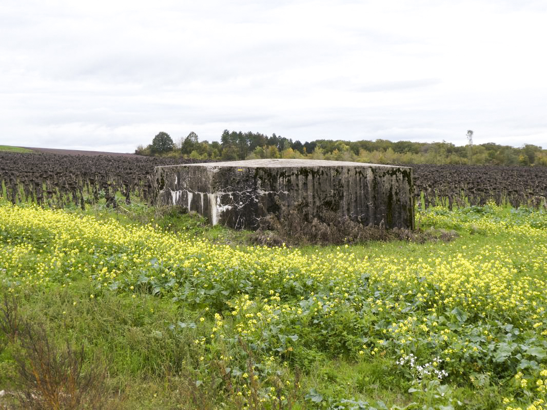 Ligne Maginot - DRIESCHBERG 1 - (Blockhaus pour arme infanterie) - 