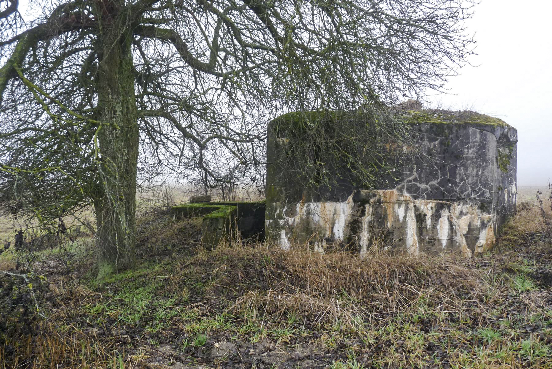 Ligne Maginot - M7B - CAPPEL NORD - (Blockhaus pour arme infanterie) - 