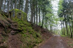 Ligne Maginot - FM77 - BETZENTHAL 4 - (Blockhaus pour arme infanterie) - Le bloc domine le chemin qui mène au col de Gunsthal