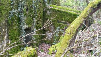 Ligne Maginot - CB280 - RETTELBOURG 2 - (Blockhaus pour arme infanterie) - Les murs du blockhaus annexe