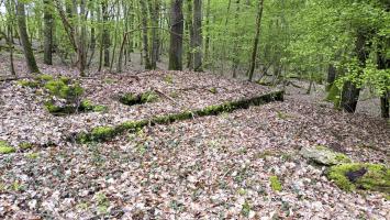 Ligne Maginot - O45 - OBERHEIDE - (Observatoire d'artillerie) - 