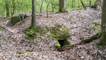 Ligne Maginot - O45 - OBERHEIDE - (Observatoire d'artillerie) - L'entrée