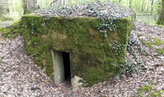 Ligne Maginot - OBERHEIDE - 116C - (Blockhaus pour arme infanterie) - L'entrée